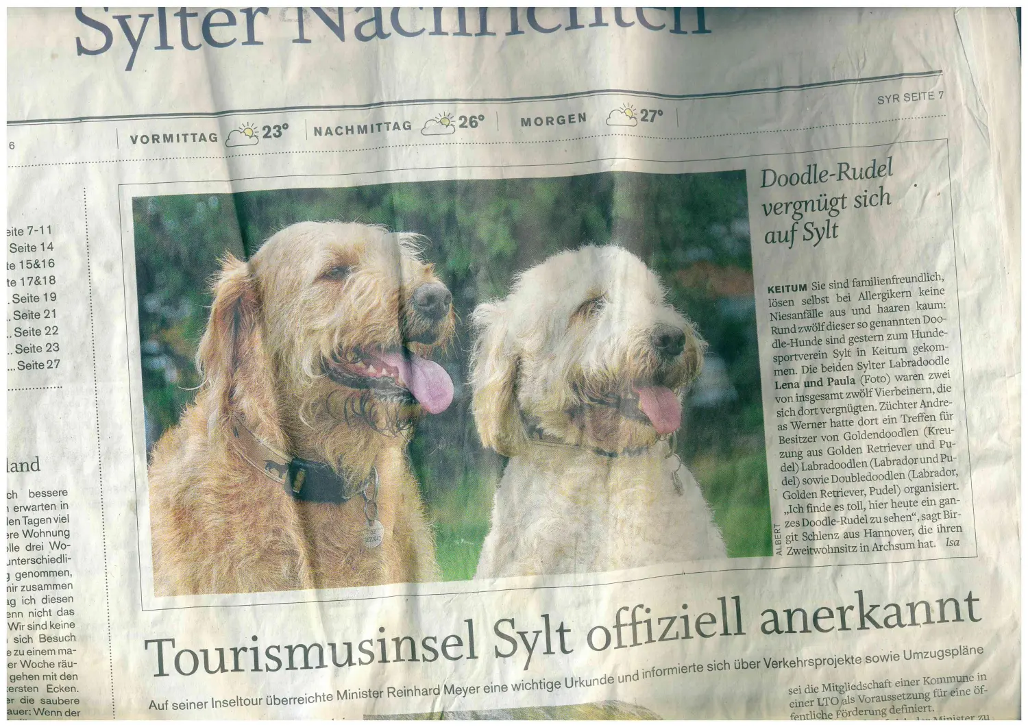 Zeitungsartikel von Dogs of Golden Kennel