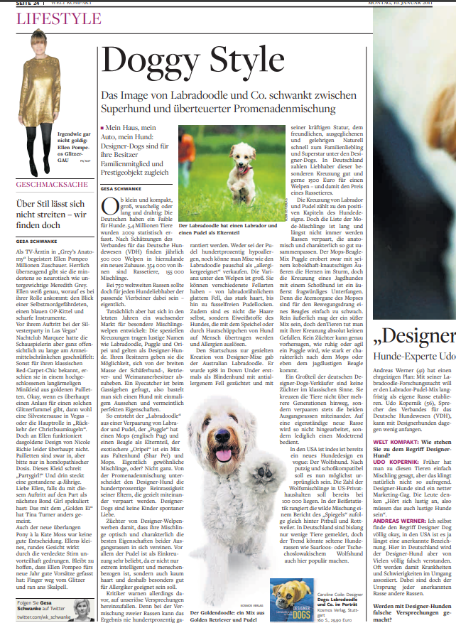 Zeitungsartikel von Dogs of Golden Kennel