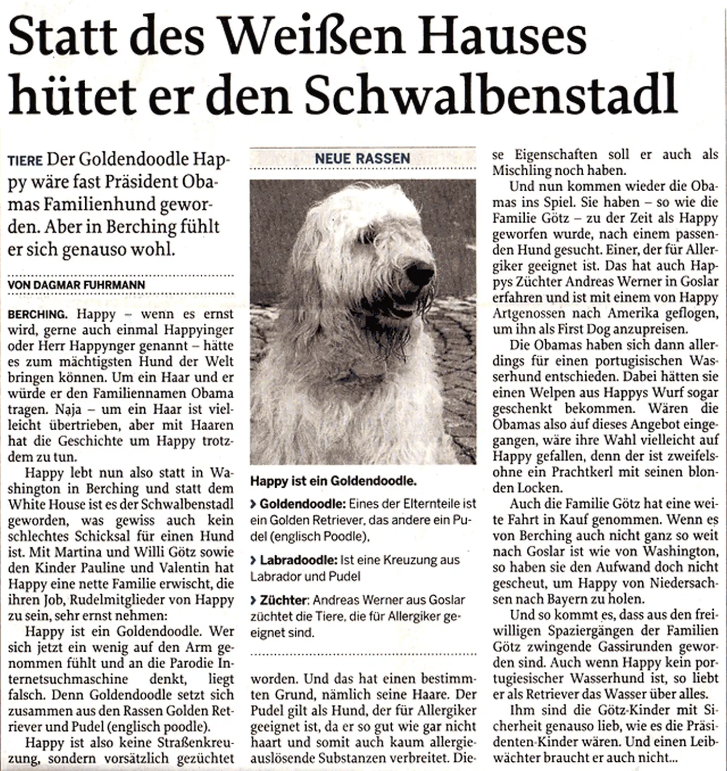 Zeitungsartikel von Dogs of Golden Kennel