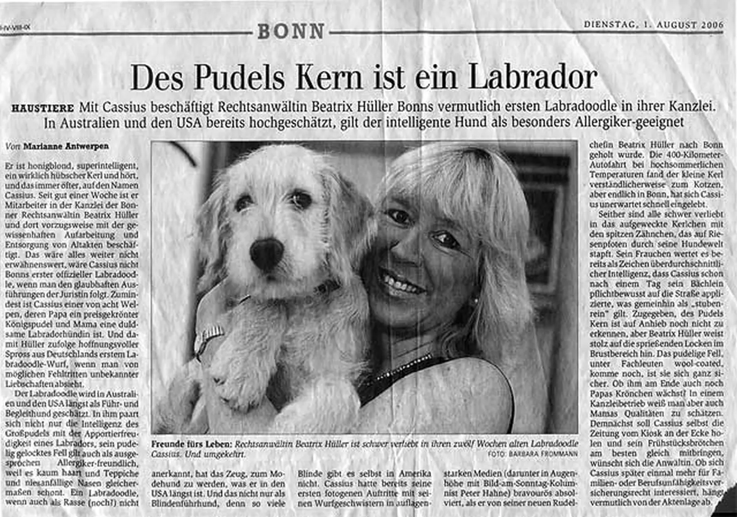 Zeitungsartikel von Dogs of Golden Kennel