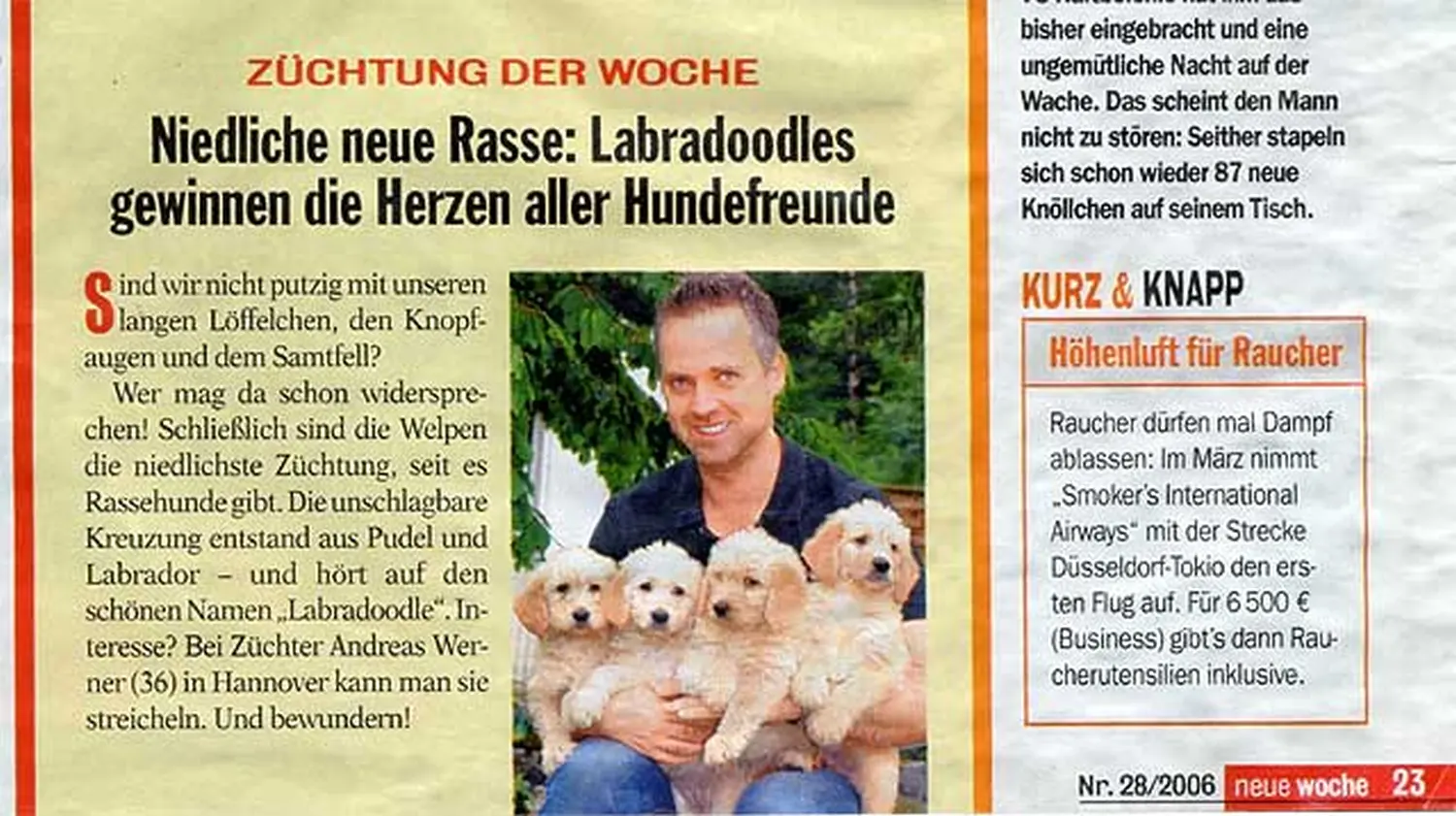 Zeitungsartikel von Dogs of Golden Kennel