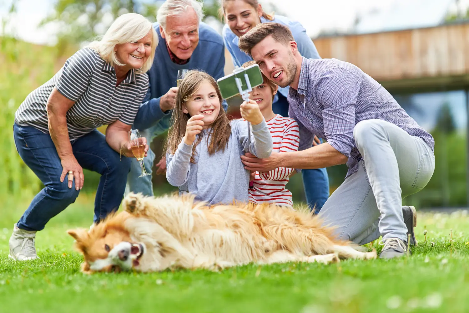 Familie von Dogs of Golden Kennel